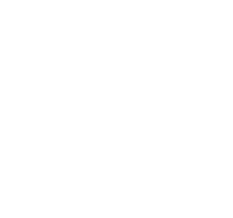 ESTUDIO RAO